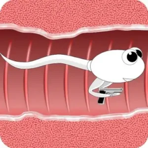 Sperma Game – Download